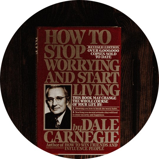 Squirrel in The Schooll By Nimal - Image 4